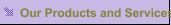 Our Products and Services